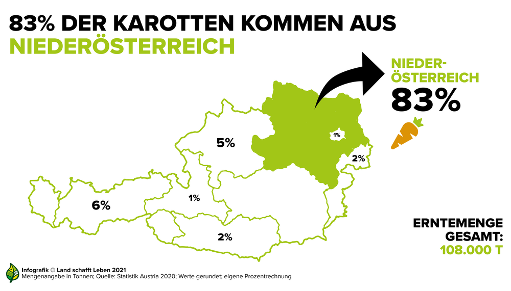 Karottenernte nach Bundesländern: 83 Prozent der heimischen Karotten kommen aus Niederösterreich | © Land schafft Leben, 2021