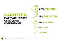 Zwiebeln gibt es in Österreich am meisten, an zweiter Stelle stehen Karotten (gemessen an der produzierten Menge in Tonnen) | © Land schafft Leben, 2021