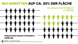 Infografik zu 20% Bio-Anteil bei der österreichischen Karottenernte | © Land schafft Leben