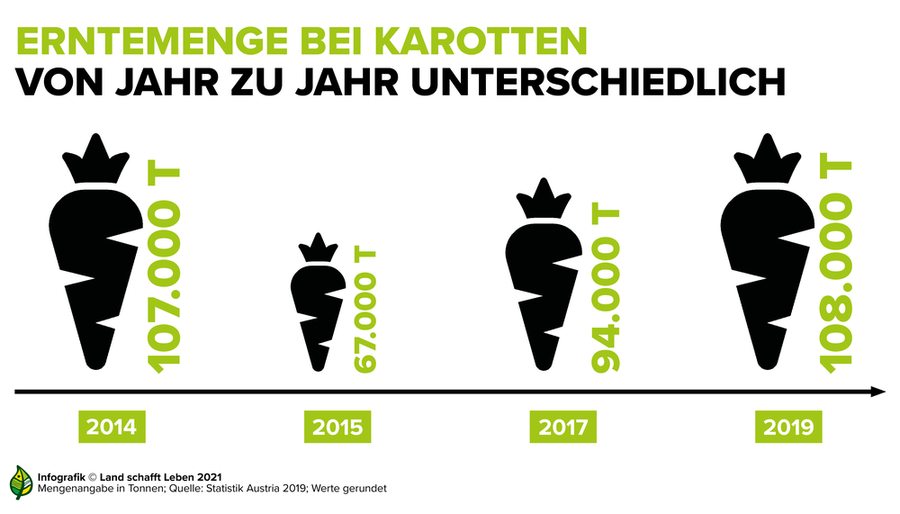 Infografik zu den starken Schwankungen bei den Erntemengen der Karotten | © Land schafft Leben