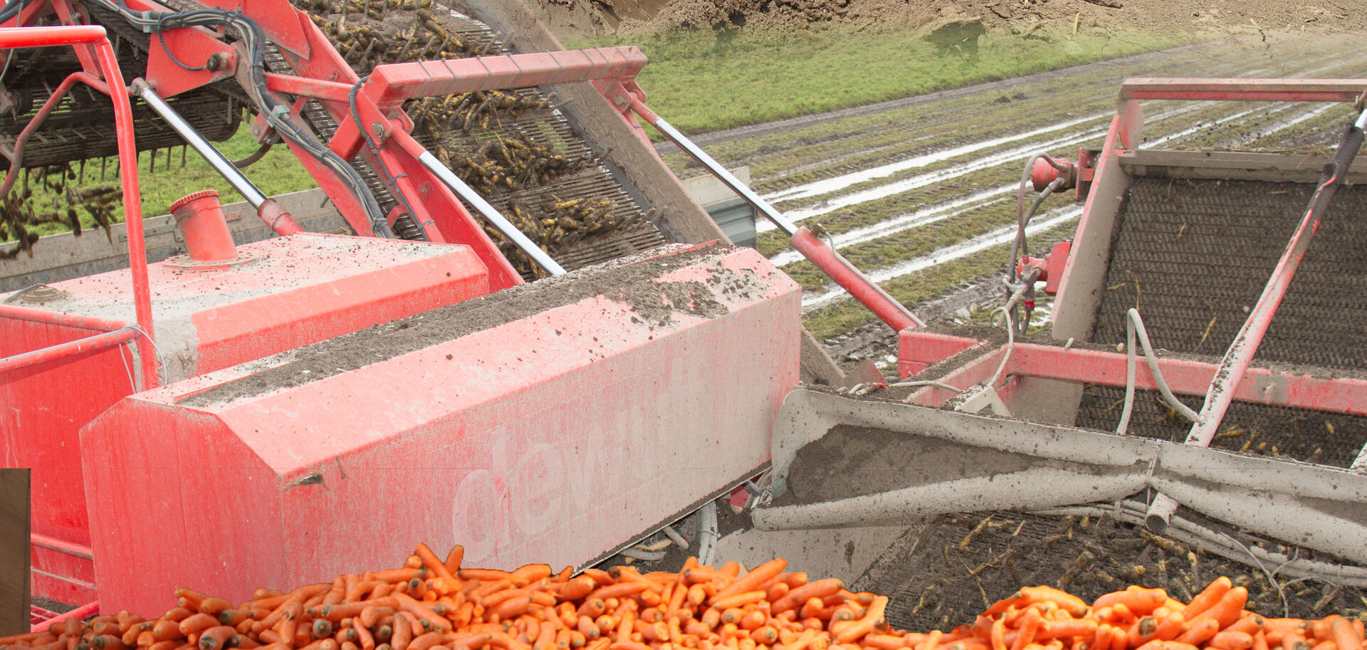 Karotten | © Land schafft Leben Karotten in landwirtschaftlichem Gerät | © Land schafft Leben
