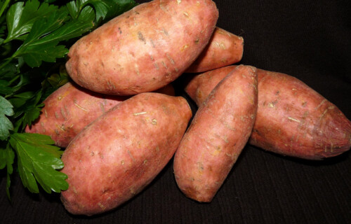 Süßkartoffeln Mehrere Süßkartoffeln neben Bund Petersilie