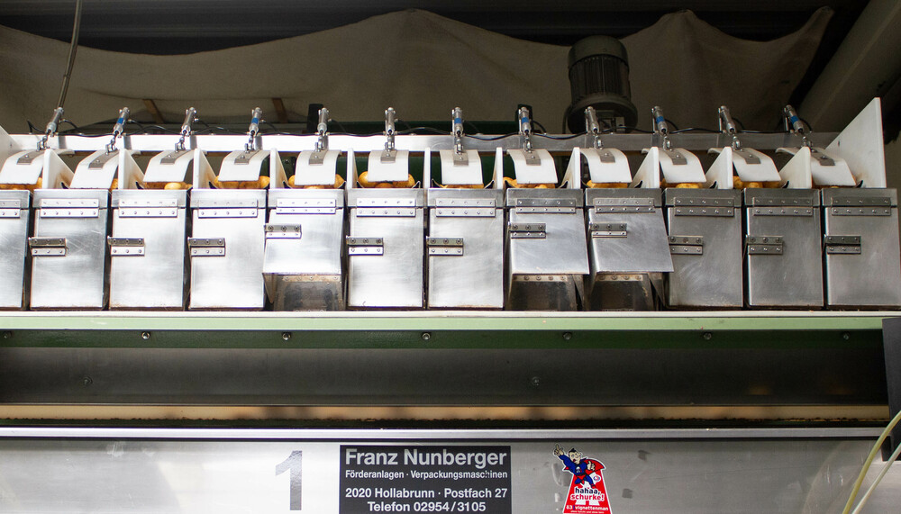 kartoffeln abpacken | © Land schafft Leben, 2019