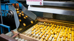 kartoffeln aussortieren | © Land schafft Leben, 2019