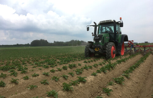 Traktor fährt auf Kartoffelfeld | © Land schafft Leben
