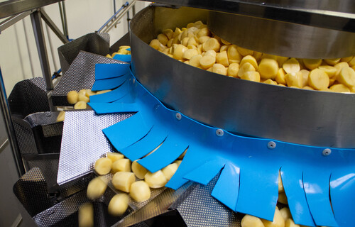 kartoffeln fabrik | © Land schafft Leben, 2019 kartoffeln fabrik | © Land schafft Leben, 2019