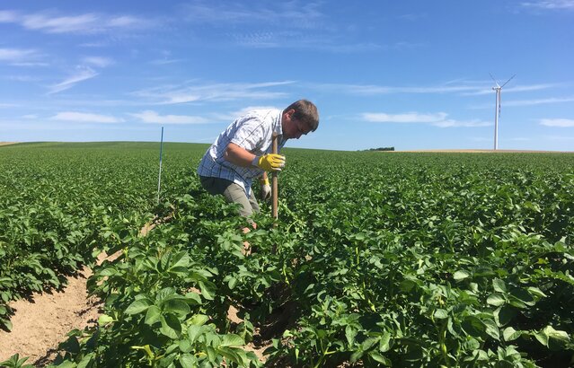 Kartoffelbauer mit Werkzeug in Feld | © Land schafft Leben