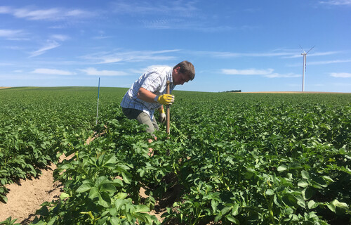 Kartoffelbauer mit Werkzeug in Feld | © Land schafft Leben