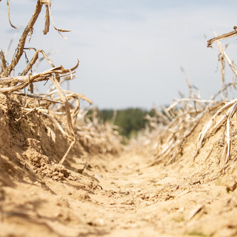 krautvernichtung | © Land schafft Leben, 2019