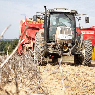 kartoffelernte | © Land schafft Leben, 2019