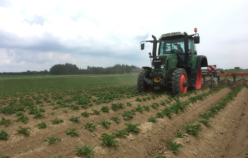 Kartoffelacker | © Land schafft Leben Traktor fährt auf Kartoffelacker | © Land schafft Leben