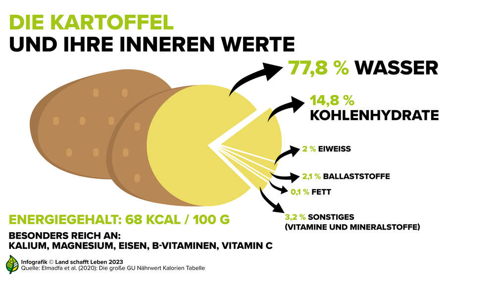 Infografik zu den Inhaltsstoffen der Kartoffel | © Land schafft Leben