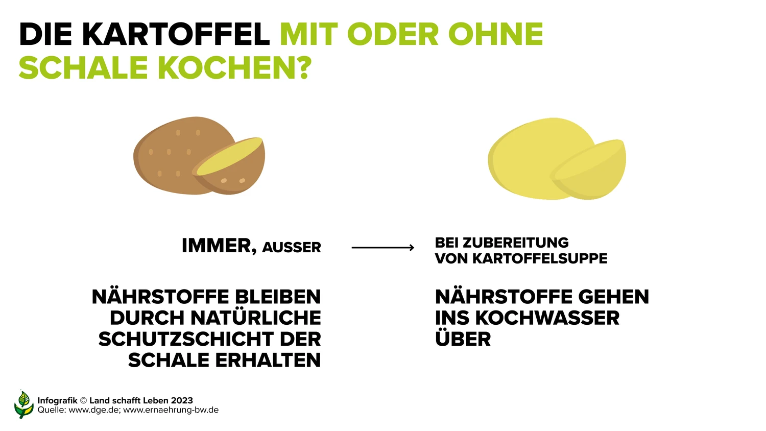 beihilfebescheide aufbewahren Betty Bossi Tuben Aufbewahrungsbox, weiß Aufbewahrung Tuben Organizer spülmaschinengeeignet bis 70 Grad Ordnungshelfer für alle Standardtuben im Kühlschrank und in der Speisekammer Küche, Haushalt & Wohnen Stromrechnung verständlich erklärt bogstaver EXKLUSIVES ANGEBOT:Kaufe 3, erhalte 1 gratis