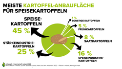 Infografik zum Anteil der Speisekartoffeln an der gesamten Anbaufläche in Österreich | © Land schafft Leben