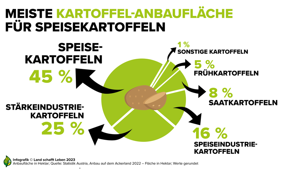 Infografik zum Anteil der Speisekartoffeln an der gesamten Anbaufläche in Österreich | © Land schafft Leben