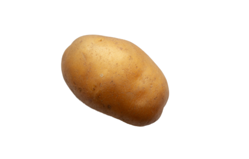 Kartoffel | © Land schafft Leben Kartoffel | © Land schafft Leben