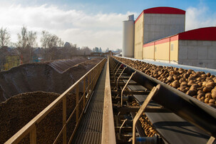 Kartoffeln auf Fließband außerhalb von Gebäude | © Land schafft Leben