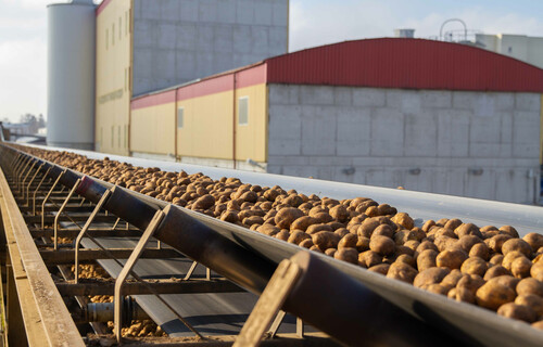 stärke kartoffeln | © Land schafft Leben, 2019 stärke kartoffeln | © Land schafft Leben, 2019