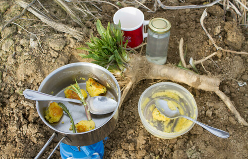 rezepte kren | © Land schafft Leben, 2017