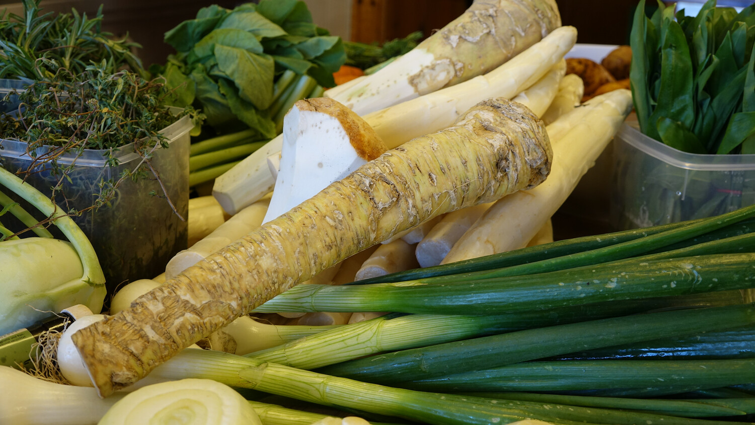 Heilpflanze und Scharfmacher Ist Kren wirklich so gesund?