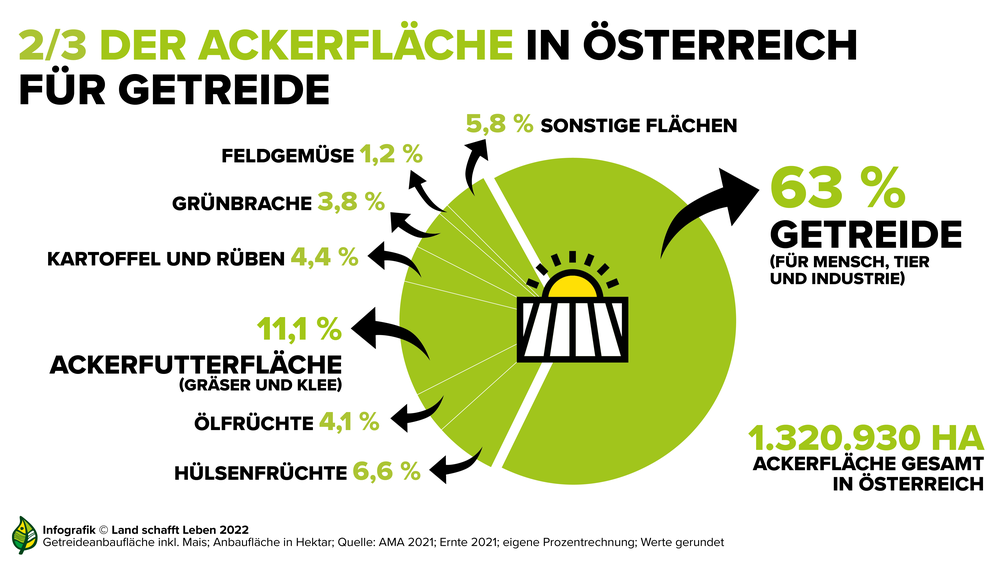 Infografik zum Anteil des Getreides an der Gesamtackerfläche in Österreich | © Land schafft Leben