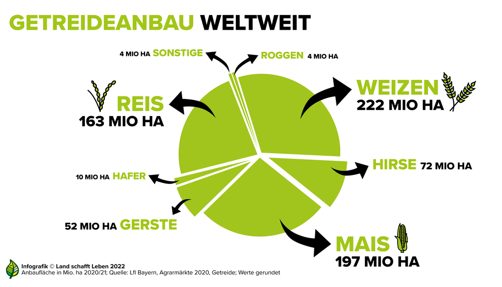 Infografik zum weltweiten Getreideanbau | © Land schafft Leben