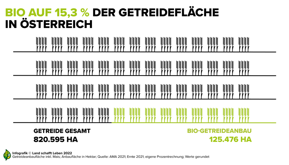 Infografik zum Anteil des Biomehls an der Geamtanbaufläche in Österreich | © Land schafft Leben
