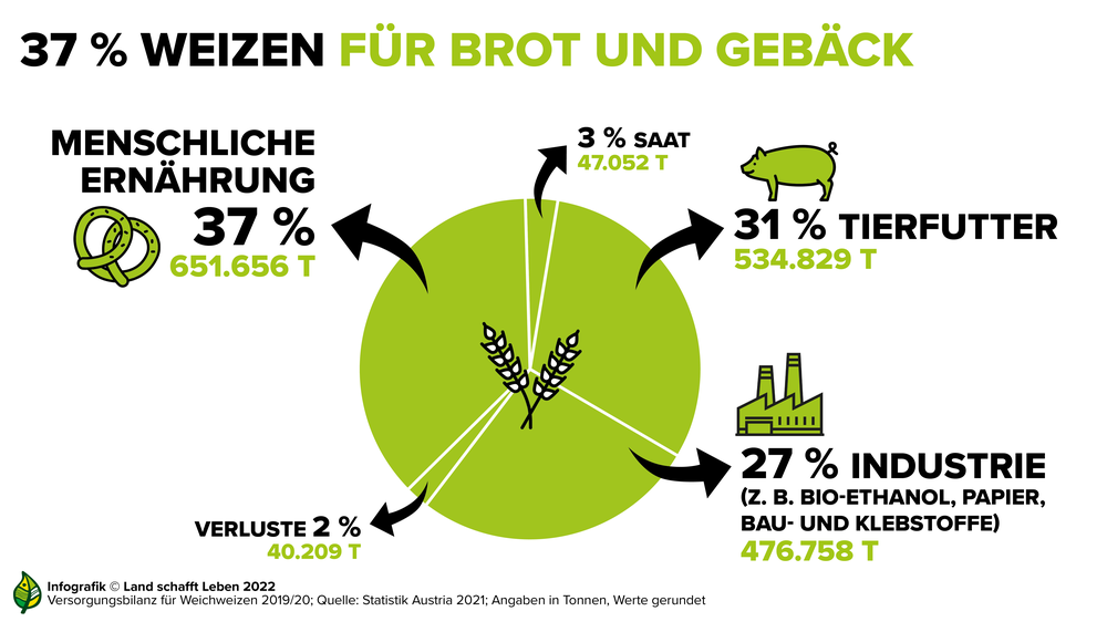 Infografik zu den verschiedenen Verwendungsarten von Weizen | © Land schafft Leben