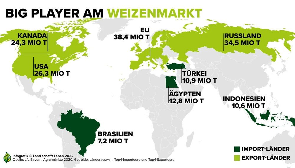 Weizen | Mehl | Land schafft Leben