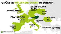 Infografik zu den größten Weizenerzeugern der Eruopäischen Union | © Land schafft Leben