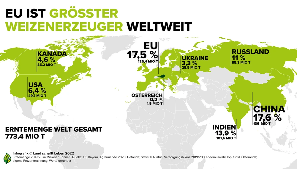 Weizen | Mehl | Land schafft Leben