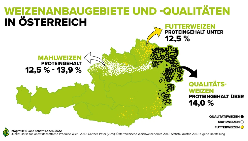 Weizen | Mehl | Land schafft Leben