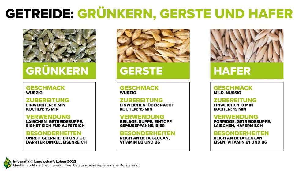 Was ist der Unterschied zwischen Vollkorn und Dinkel?