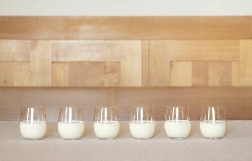 Reihe von Milchgläsern, Milch im Glas, Milch in Gläsern | © Land schafft Leben, 2020