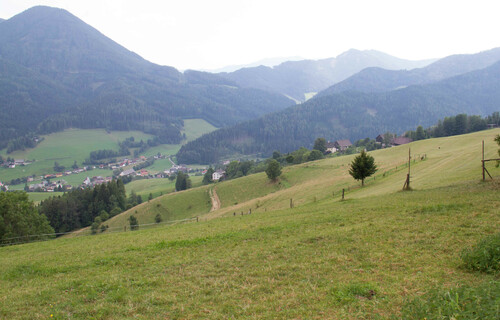 Almwiesen und Wälder | © Land schafft Leben