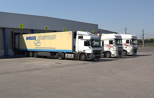 Drei LKW's auf Parkplatz beim Beladen | © Land schafft Leben