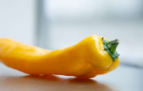 gelber Paprika | © Land schafft Leben, (2020) gelber Paprika | © Land schafft Leben, (2020)
