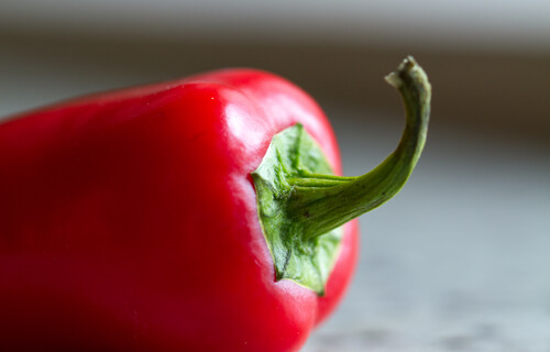 roter Paprika | © Land schafft Leben, (2020) roter Paprika | © Land schafft Leben, (2020)