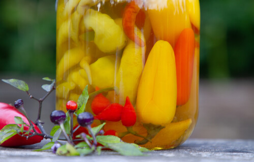 eingelegte Paprika | © Land schafft Leben, (2020) eingelegte Paprika | © Land schafft Leben, (2020)