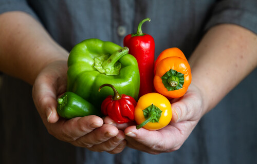 Die Vielfalt der Paprika | © Land schafft Leben, (2020)