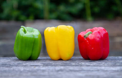 Tricolore | © Land schafft Leben, (2020) Tricolore | © Land schafft Leben, (2020)
