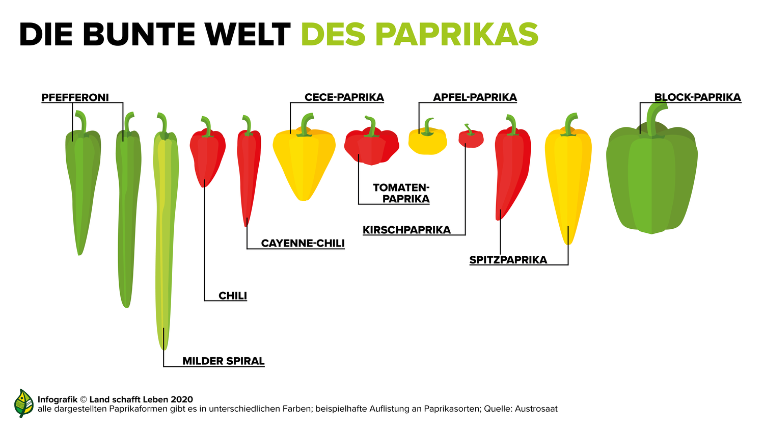 Unterscheidung im Regal Paprika Land schafft Leben
