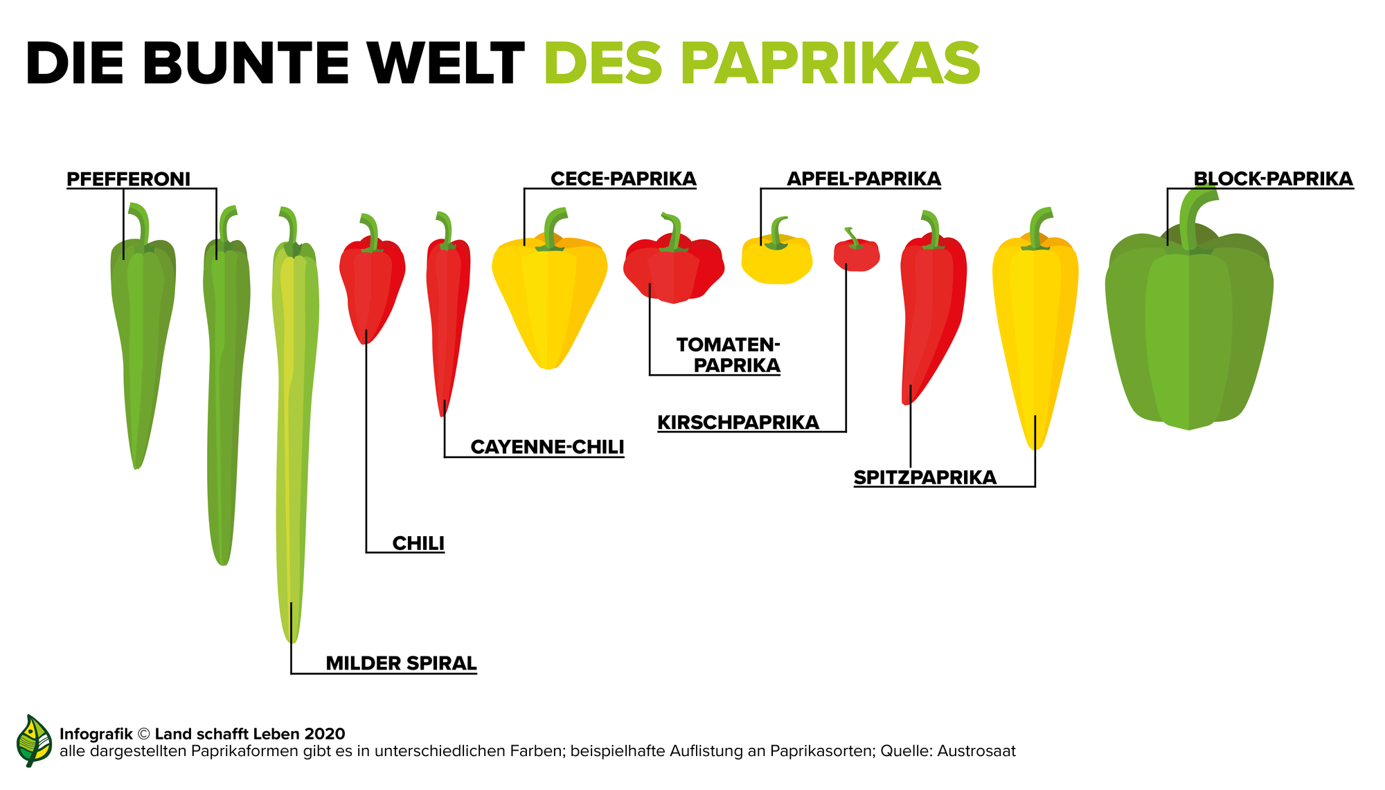 Unterschied Spitzpaprika Und Paprika
