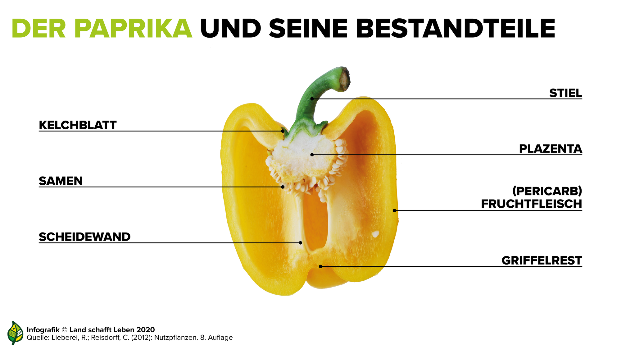 Gesundheit Paprika Land schafft Leben