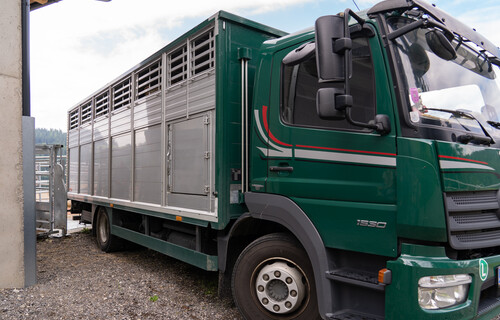 Grüner Tiertransport-LKW | © Land schafft Leben