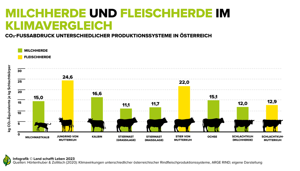 Infografik zu Rind-Milch- und Fleischherden im Klimavergleich | © Land schafft Leben