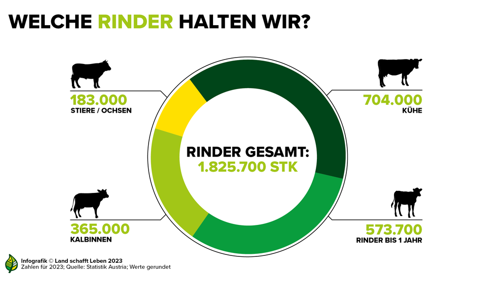 Infografik zu den Arten von in Österreich gehaltenenen Rindern | © Land schafft Leben