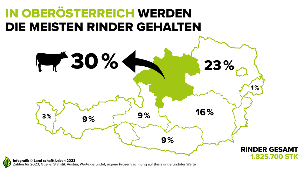 Infografik zu der Anzahl gehaltener Rinder nach Bundesland | © Land schafft Leben