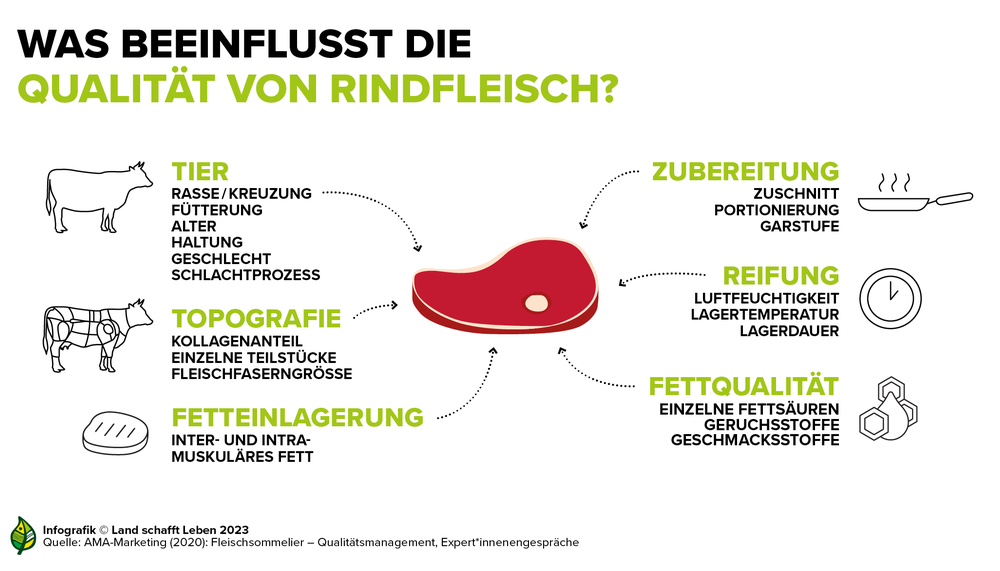 Infografik zu den Einflüssen auf die Qualität von Rindfleisch | © Land schafft Leben