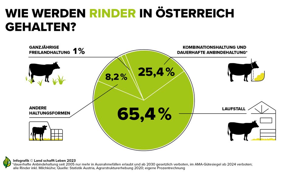 Infografik zu den verschiedenen Haltungsarten von Rind in Österreich | © Land schafft Leben